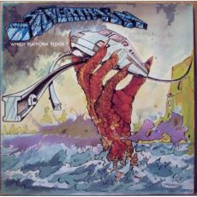 Wich platform please?