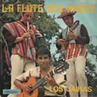 La Flûte Des Andes