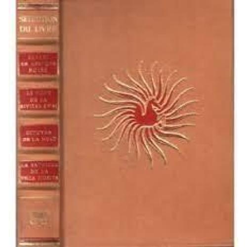 Safari En Afrique Noire De Armand Denis