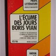 L'Ecume des jours, Boris Vian : analyse critique