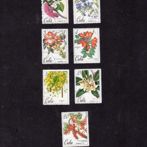Flores de Cuba  1