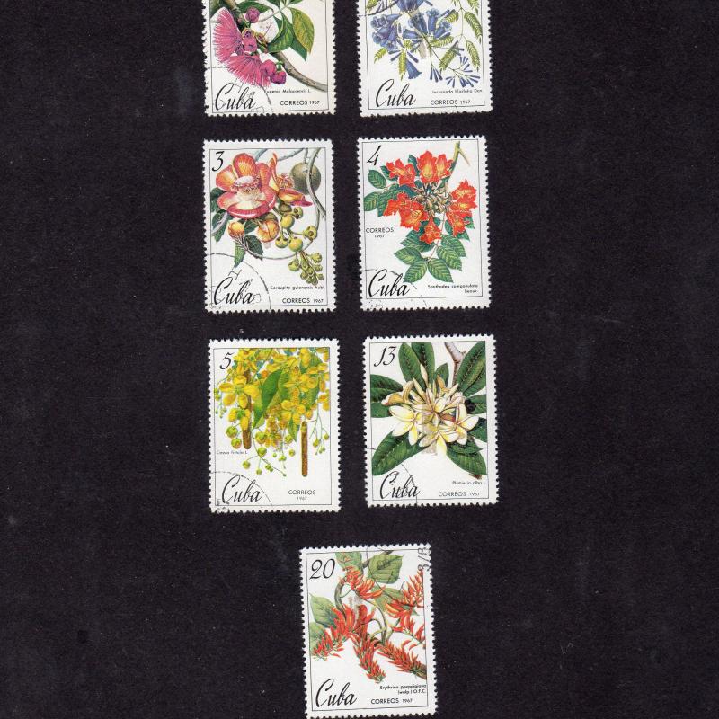 Flores de Cuba  1