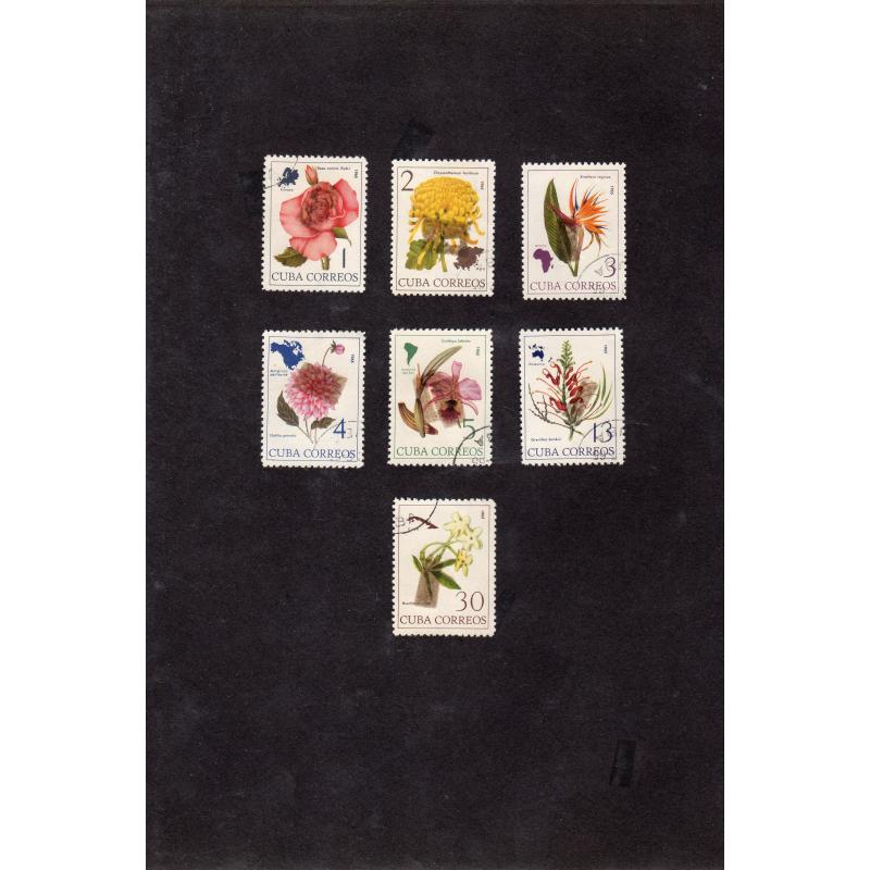 Flores