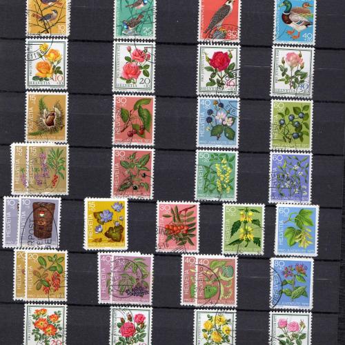 Pro Juventute, Pro Patria