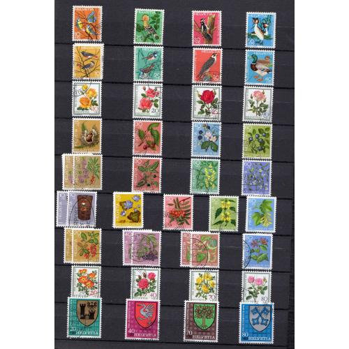 Pro Juventute, Pro Patria