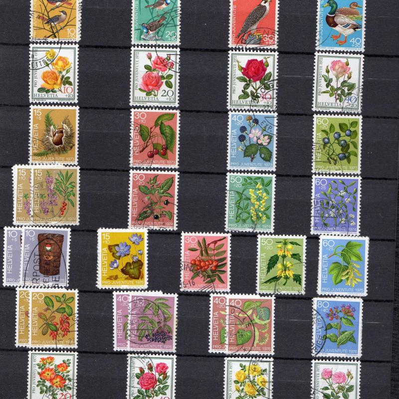 Pro Juventute, Pro Patria