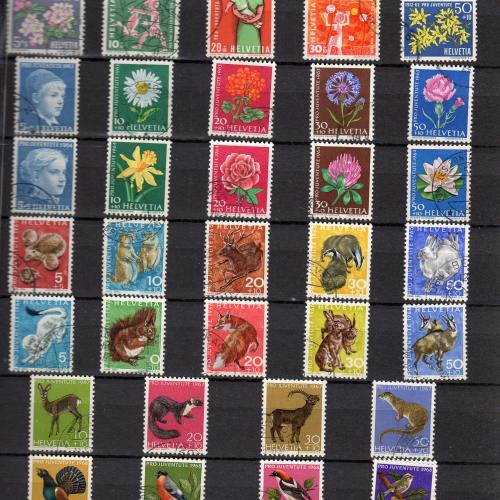 Pro Juventute, Pro Patria