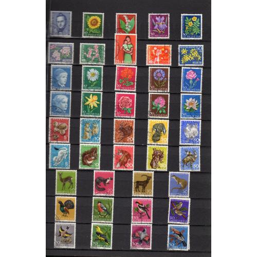 Pro Juventute, Pro Patria