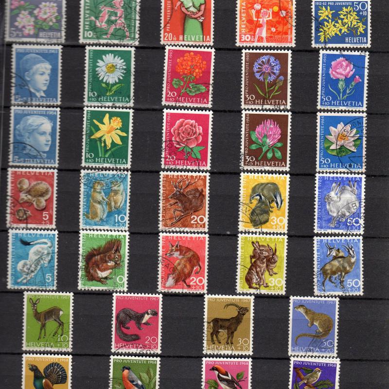 Pro Juventute, Pro Patria