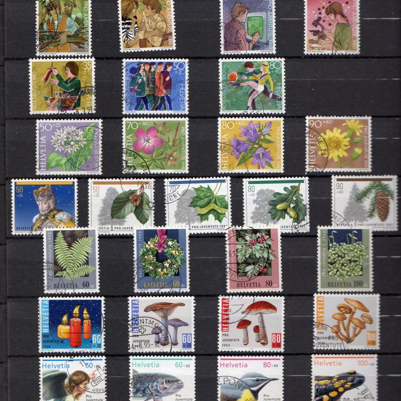 Pro Juventute, Pro Patria