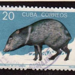 Mamiferos del zoologico de la Habana 1964