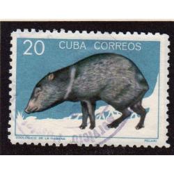 Mamiferos del zoologico de la Habana 1964