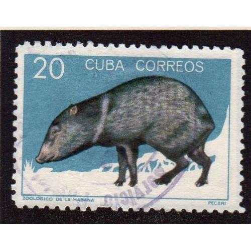 Mamiferos del zoologico de la Habana 1964