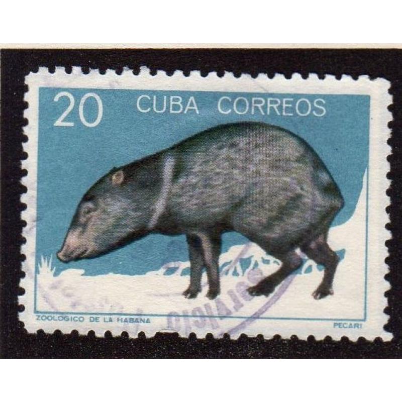 Mamiferos del zoologico de la Habana 1964