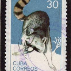 Mamiferos del zoologico de la Habana 1964