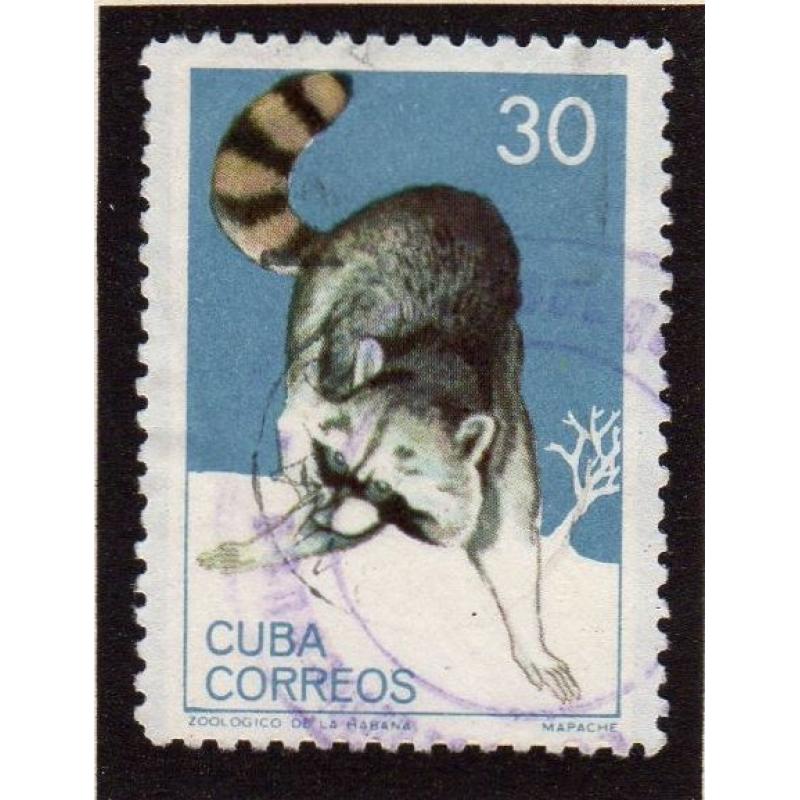 Mamiferos del zoologico de la Habana 1964