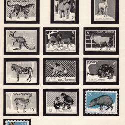 Mamiferos del zoologico de la Habana 1964